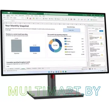 Монитор Lenovo ThinkVision P27h-30 63A1GAT1UK картинка 2